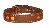 Inlaid Reflecto Dog Collar 1-1/4 Inches Wide