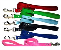 1/2 inch wide x 4 Ft Colored Leather Leash