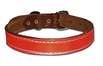1-Ply Regular Reflecto Leather