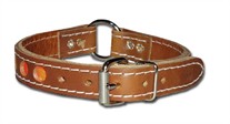 1" CR Reflecto Dog  Collar