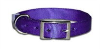 Regular Nylon Dog Collar 1 Inch Wide