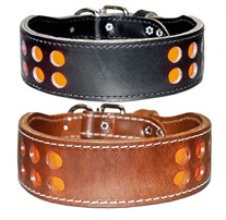 2 Row Inlaid Reflecto  Dog Collar 2 Inches Wide