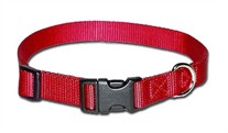 3/4 inch wide Kwik Klip Adjustable Dog Collar