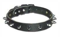 Spiked Leather Collars 3/4 in Wide