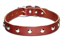 Studded Dog Collar 3/4 Inch Wide