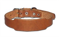 Beagle Dog Collar 3/4 Inch Wide