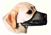 Best Fit Mesh Dog Muzzles
