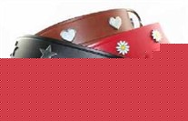 Large Dog Collars