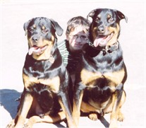 Bruzer, Major & Pal