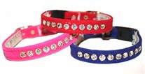 Cat Collars