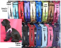 Choke Free Dog Harness