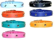 Leather Collar 1 inch wide