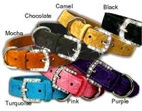 1/2 in Crystal Buckle Dog Collar