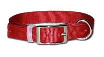 Dee in Front Nylon Dog Collar 1 Inch Wide Size 26 28 30