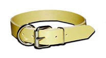 Dee-in-Front Perma Dog Collar 1 Inch Wide