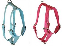 Signature Leather Dog Harness