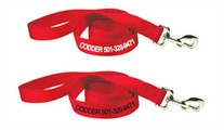 1 in x 6 ft.  Personalized Nylon Leads