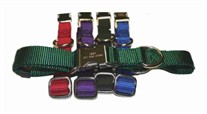 Engraved Metal Buckle Nylon Collars 3/4 Inch wide
