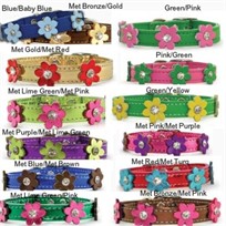 Morrco Flower Power Dog Collars