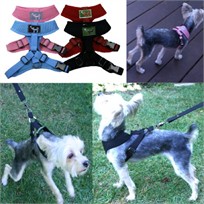 Freedom Dog Harness