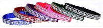 Jeweled Nylon Dog Collar 3/8 In Wide