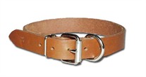 Heavy Oiled Dee in Front Bully Dog Collar 3/4 Inch Wide