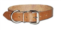 Heavy Oiled Regular Bully Dog Collar 3/4 Inch Wide