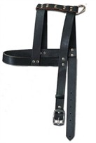 H-Style Buckle Leather Harness  1 Inch Wide