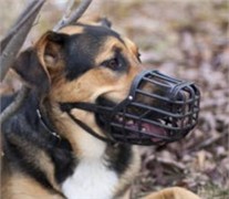 Italian Basket Dog Muzzle Size Chart