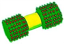 Large Spiked Barbell Dog Toy