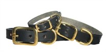 Latigo Leather Dog Collar/Brass Hardware