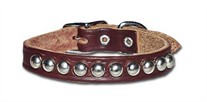 Studded Dog Collars 1/2 Inch Wide