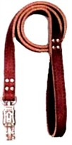 Heavy Duty 1 Inch x 72 Inch Dog Lead