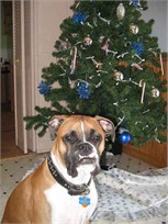 Max