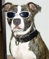 Misha