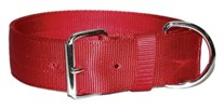 Regular Bravo Dog Collar 2 Inches Wide