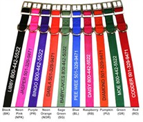 1 in Personalized Nylon Collars