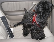 Pet Seat Belt Adapter