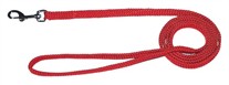 Rainboe Dog Lead 4 Ft.