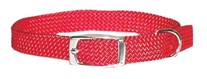Rainboe Dog Collar 3/8 Inch