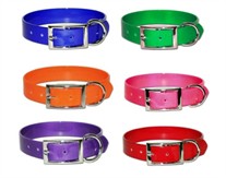 SunGlo Collars Ring Next to Buckle 1 in. wide