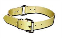 Ring-in-Center Perma Dog Collar 3/4 Inches Wide