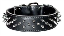 2 inch wide Leather Spiked Dog Collar