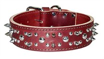 1-3/4 in wide Leather Spiked  And Studded  Dog Collar 