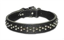 Leather Collar with Dome Studs