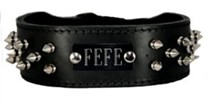 2 inch wide Spike Dog Collar with Name Plate Space