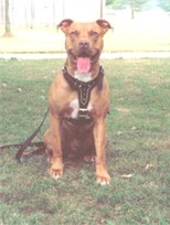 Tyson