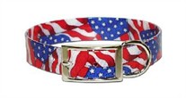 USA Stars and Stripes Dog collar