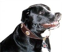In Memory of Vinnie In Memory of Vinnie