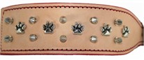 Wide Russet  Dog Collar with Paws and Spikes